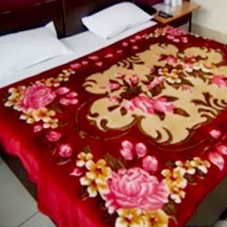 Hotel Siddh Shree Palace, Jaipur 3